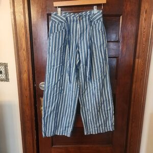 American Eagle Cotton Railroad Pants